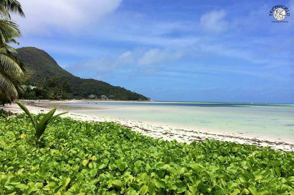 le seychelles spiaggia praslin