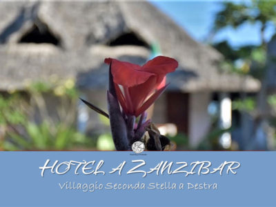 Hotel a Zanzibar: la tua vacanza a Jambiani