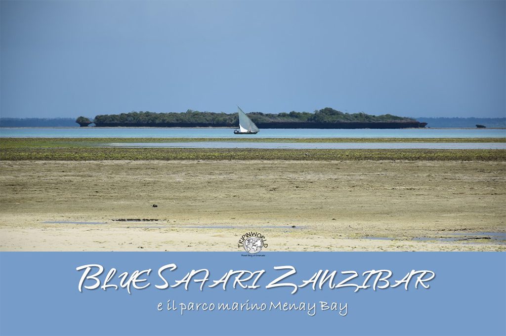 blue safari zanzibar parco marino menay bay tripinworld