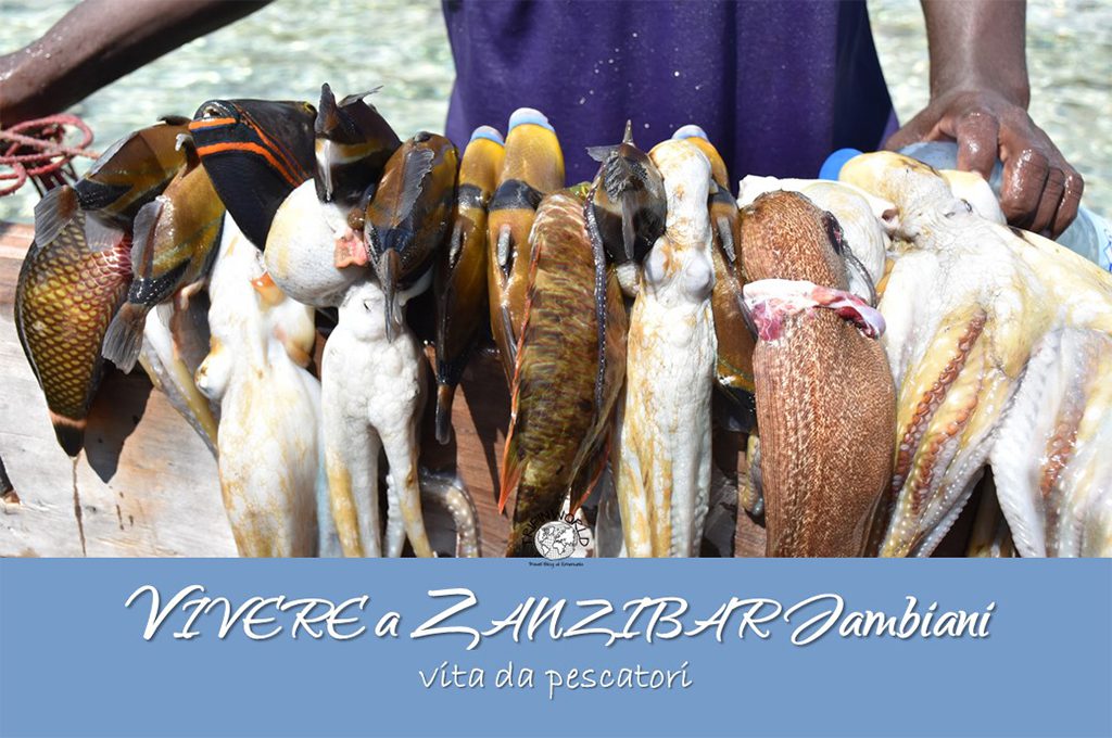 vivere a zanzibar jambiani vita da pescatori tripinworld
