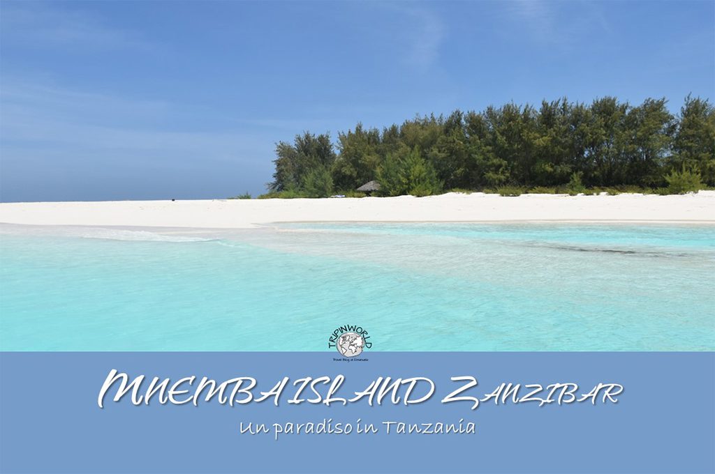 mnemba island un paradiso in tanzania tripinworld