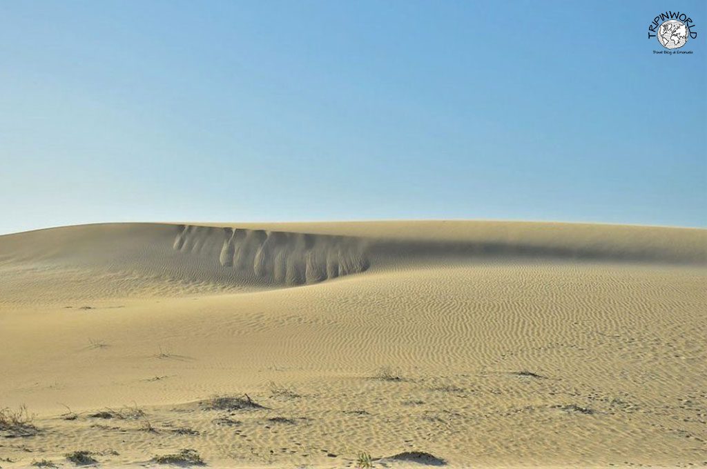 fuerteventura dune corralejo