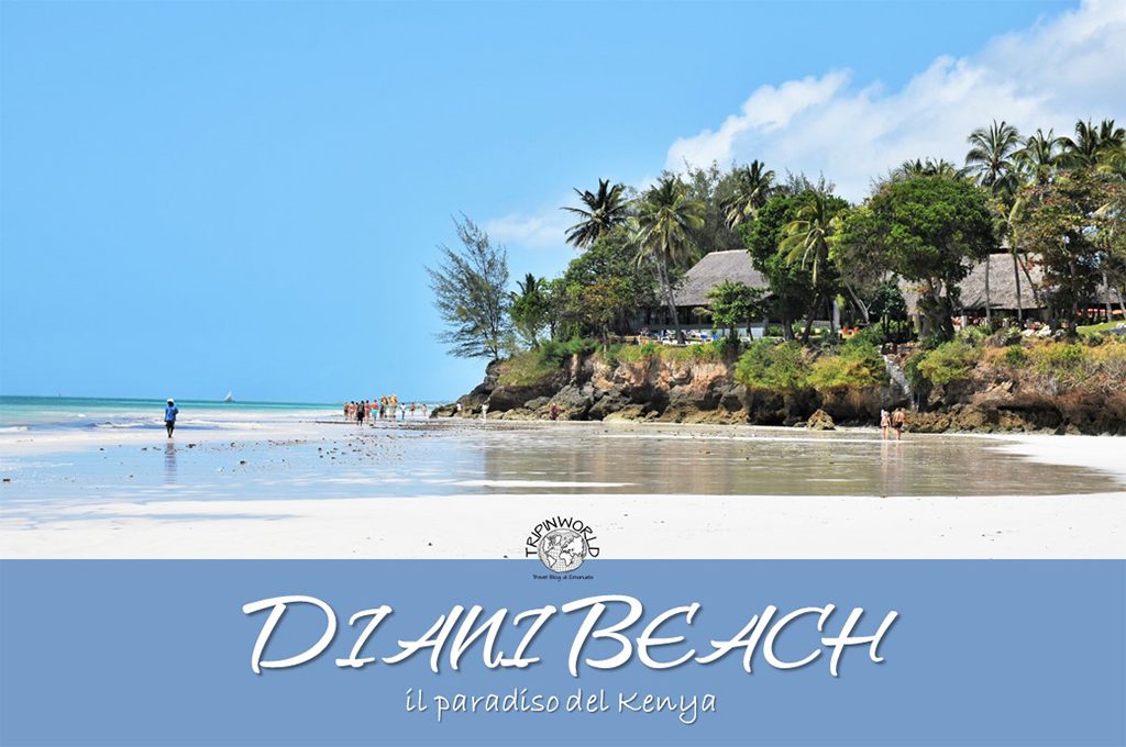 diani beach paradiso tropicale del kenya tripinworld