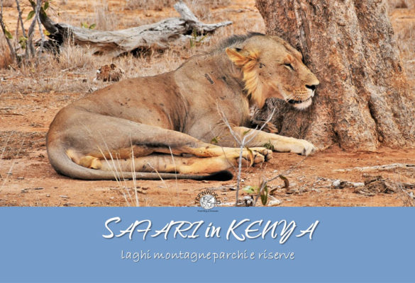 Safari in Kenya: laghi, montagne, parchi, riserve
