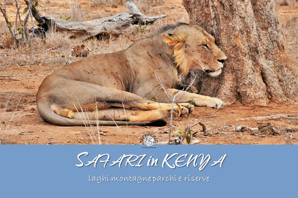 safari in kenya laghi montagne parchi riserve tripinworld