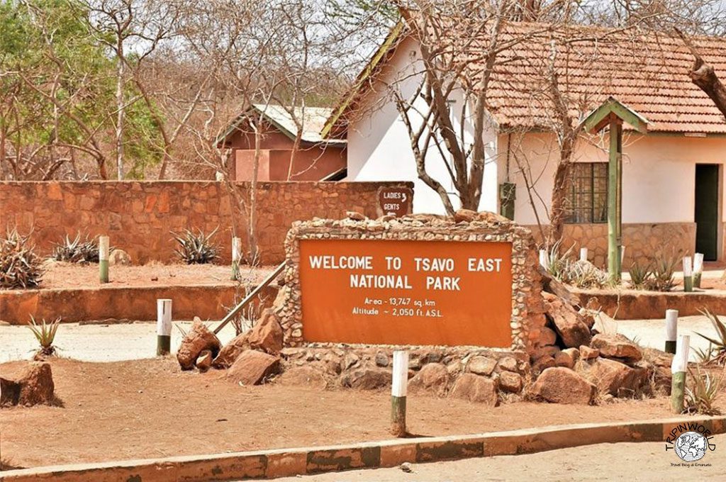 safari in kenya parco tsavo est