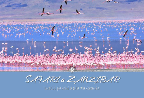 Safari a Zanzibar? Qualcosa assolutamente da fare