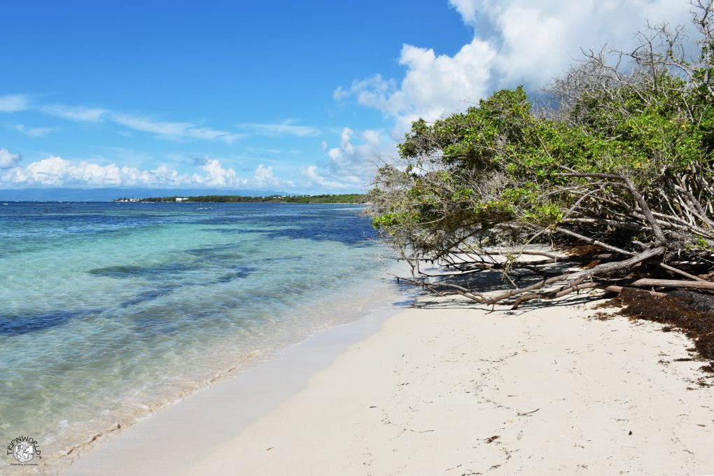 spiagge caraibiche plage de bois jolan