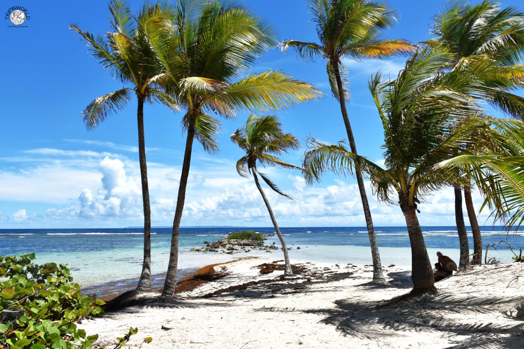 isole dei caraibi spiagge nel sud di guadalupa