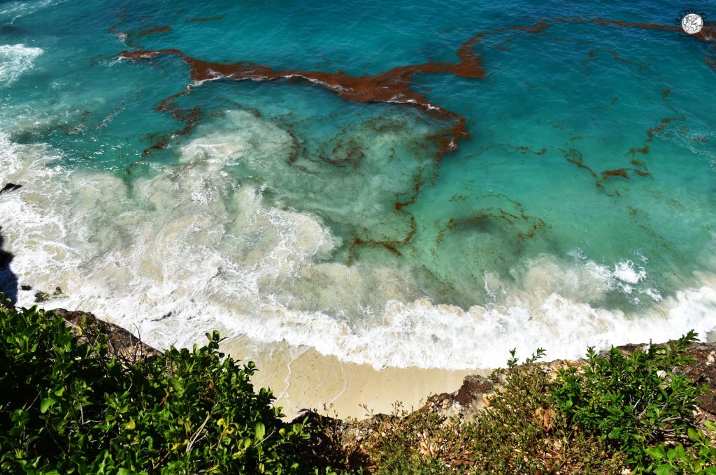 spiagge caraibiche grande terre