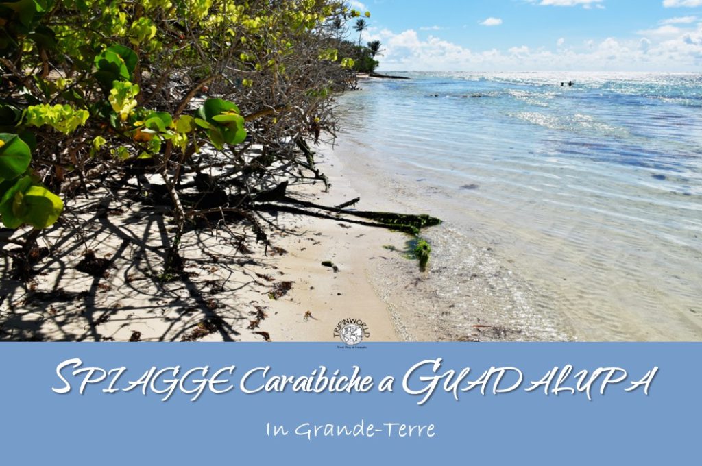 spiagge caraibiche a guadalupa tripinworld