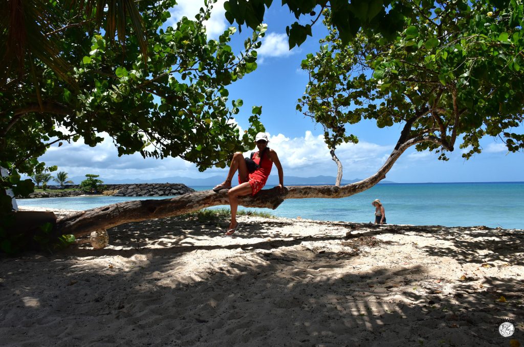 spiagge caraibiche nord di guadalupa