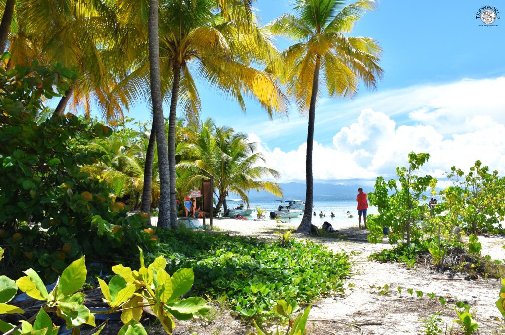 spiagge caraibiche vegetazione ilet de gosier