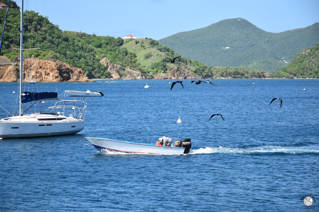 isole di guadalupa pescatori