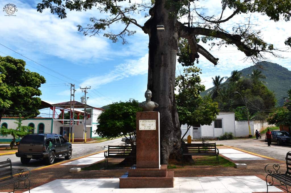 isola del venezuela busto colonnello