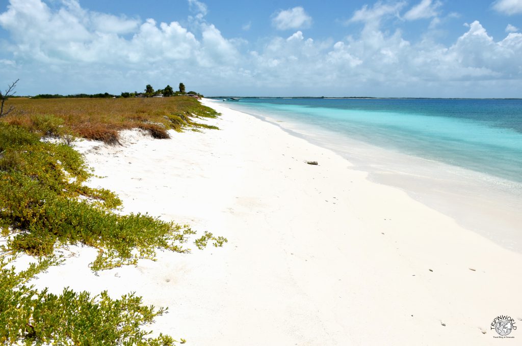 los roques le isole