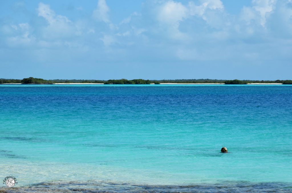 los roques panorama isole