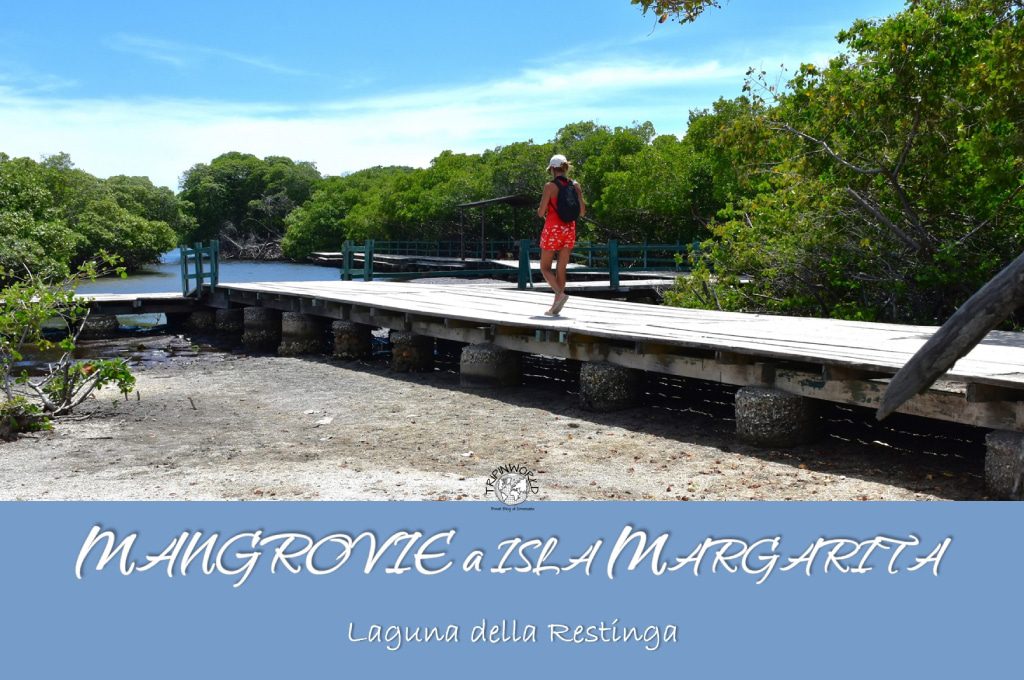 mangrovie a isla margarita laguna della restinga tripinworld