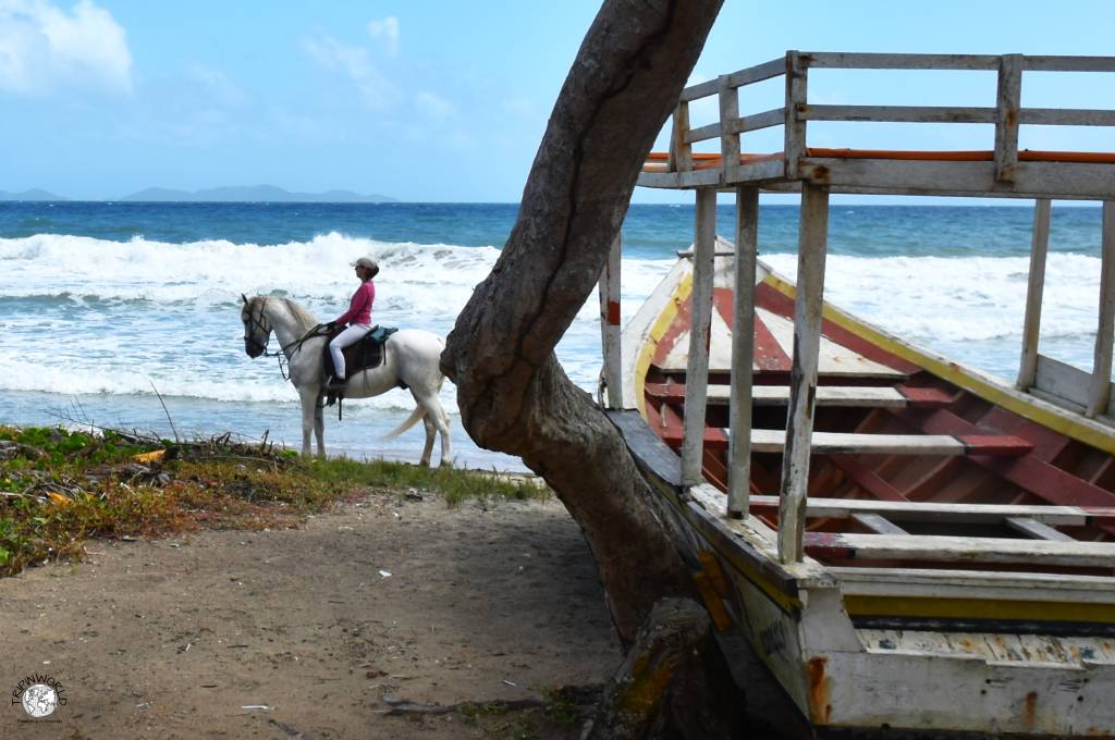 come si vive in venezuela oggi passeggiata a cavallo