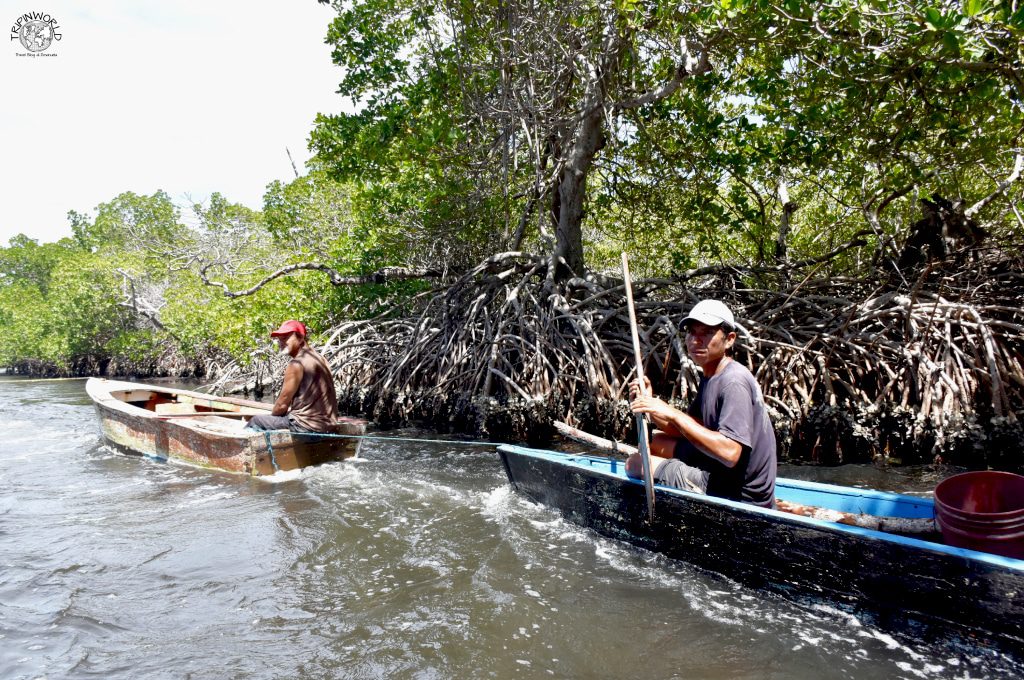 mangrovie laguna della restinga pescatori