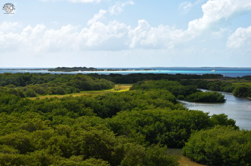 gran roque laguna di mangrovie
