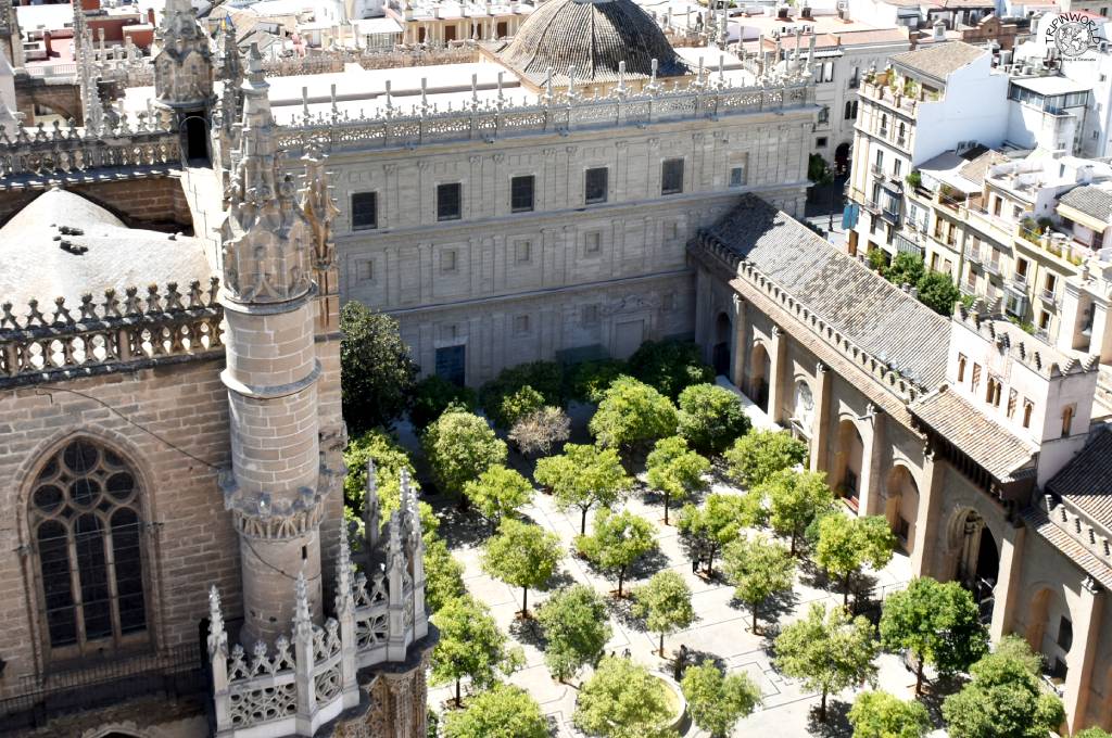 cattedrale di siviglia patio de los naranjos 