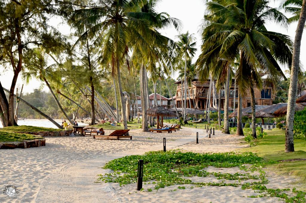 spiaggia e palme isola di phu quoc