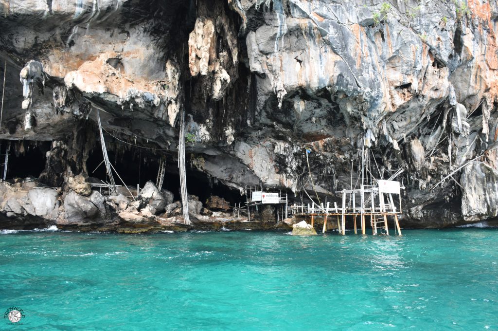 isole di krabi grotta dei vichinghi phi phi leh