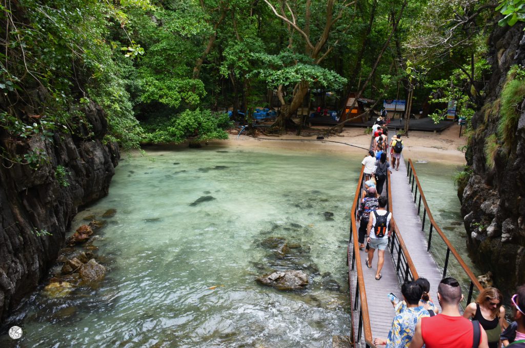 ingresso maya bay isole di krabi