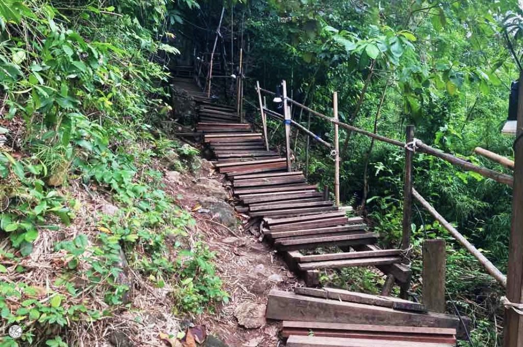 monkey trail krabi sud della thailandia