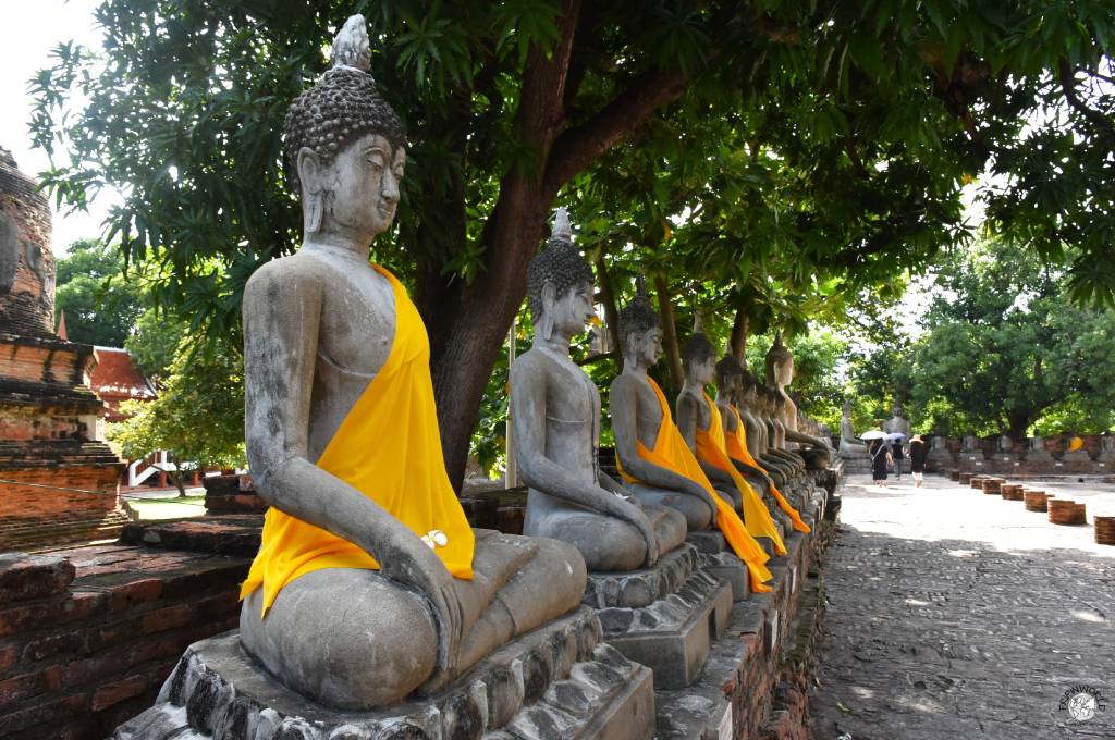 ayutthaya statue del buddha