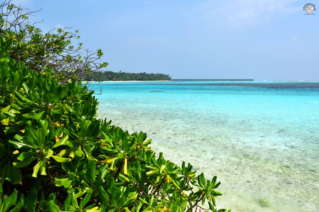 mare delle isole maldive 