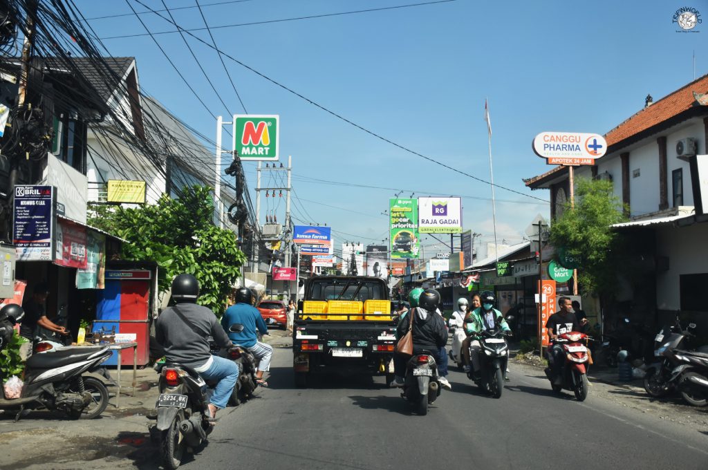 strade trafficate canguu