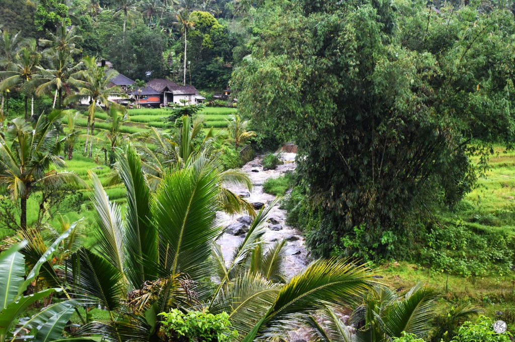 cascate di bali i torrenti cascate di bali i torrenti