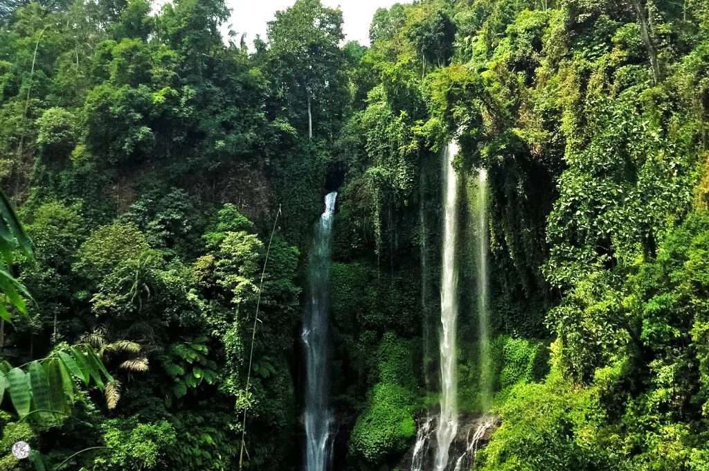 cascate di bali sekumpull cascate di bali sekumpull