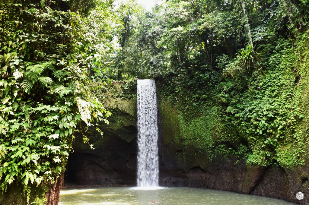 cascate nelle vicinanze di ubud cascate nelle vicinanze di ubud