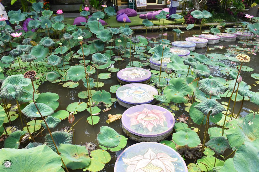 fiori di loto pura taman kemuda saraswati fiori di loto pura taman kemuda saraswati