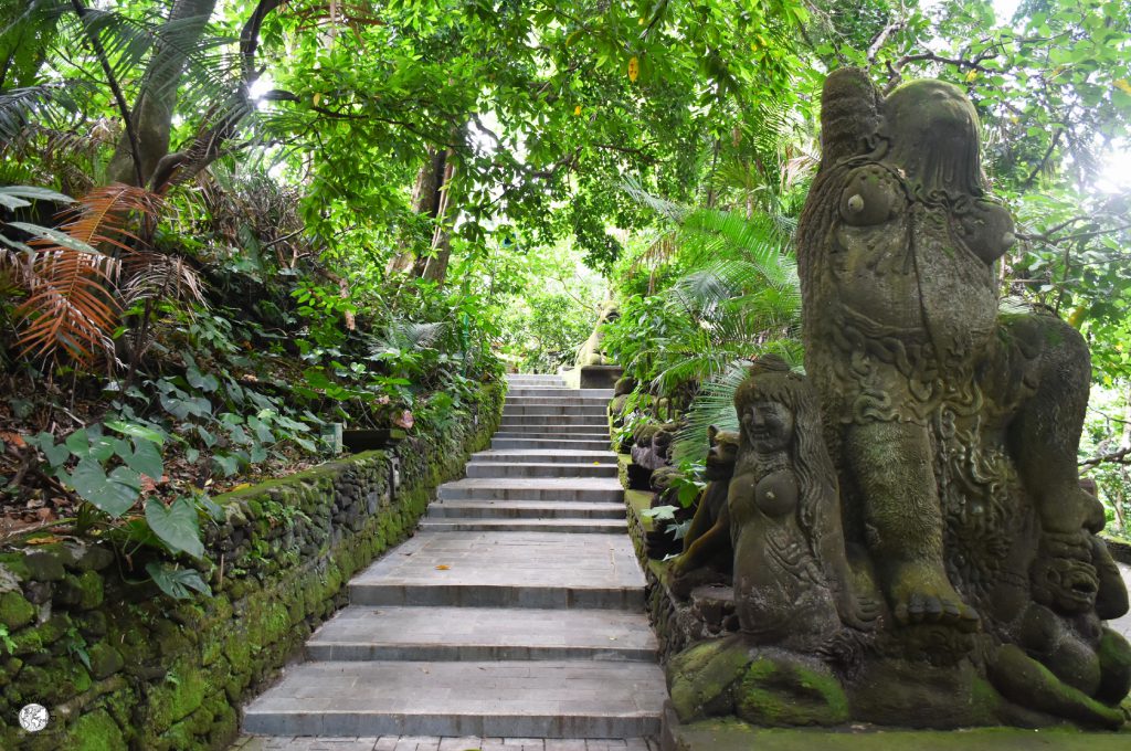 ubud percorso nella foresta delle scimmie ubud percorso nella foresta delle scimmie