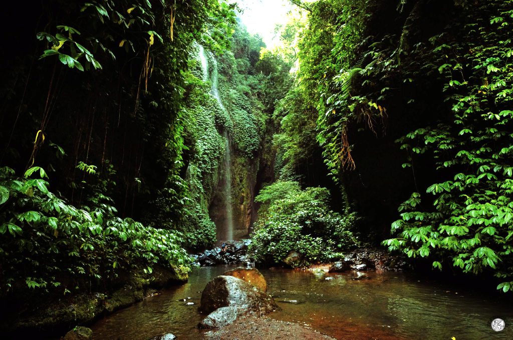 cascate di bali fondo della gola sekumpul cascate di bali fondo della gola sekumpul