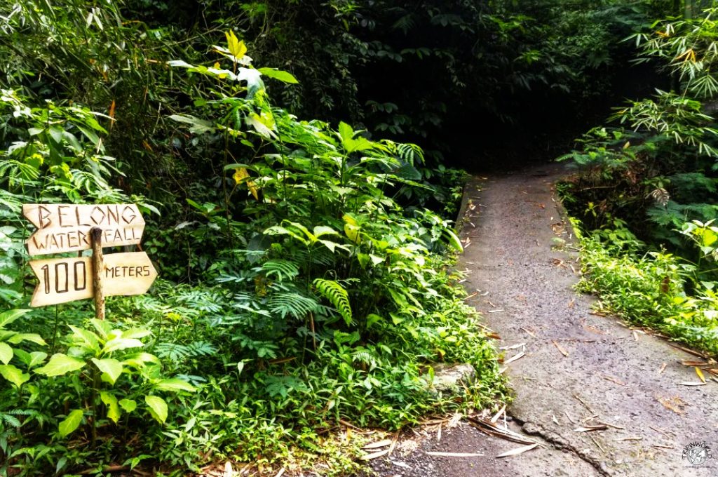 cascate di bali sentiero per belong cascate di bali sentiero per belong