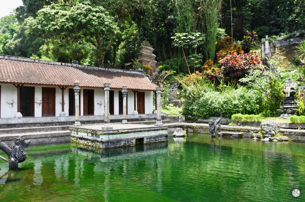 cose da vedere a bali sorgente tirta gangga 