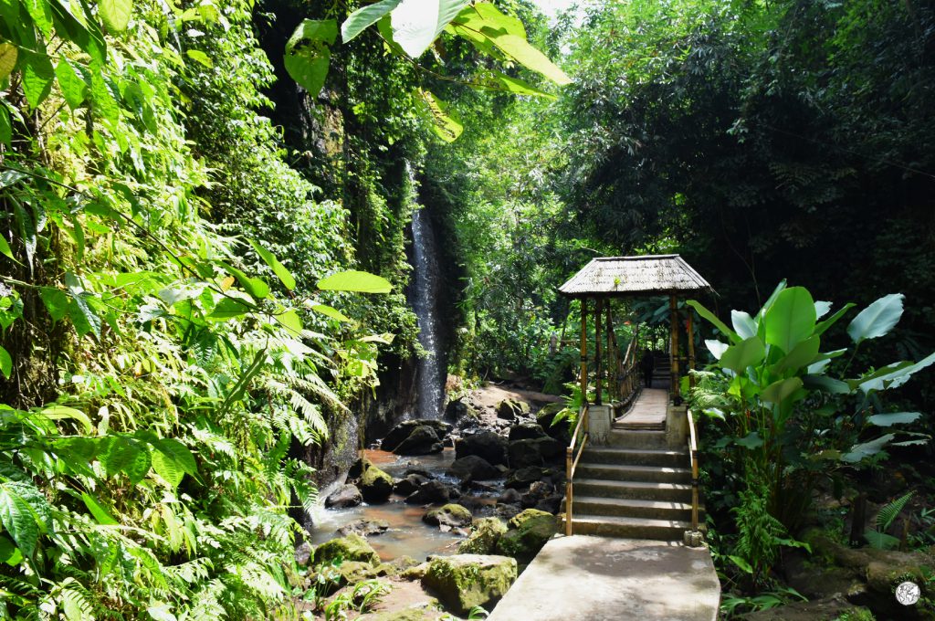 percorso verso la cascata tibumana cascate di bali percorso verso la cascata tibumana cascate di bali