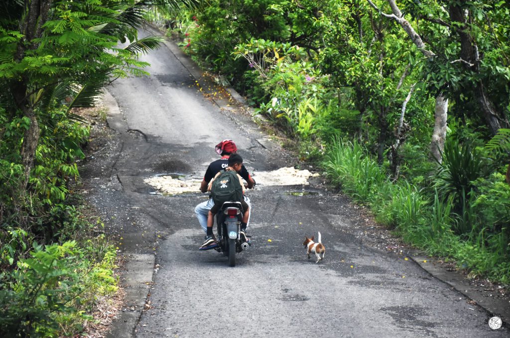 nusa penida strade con buche