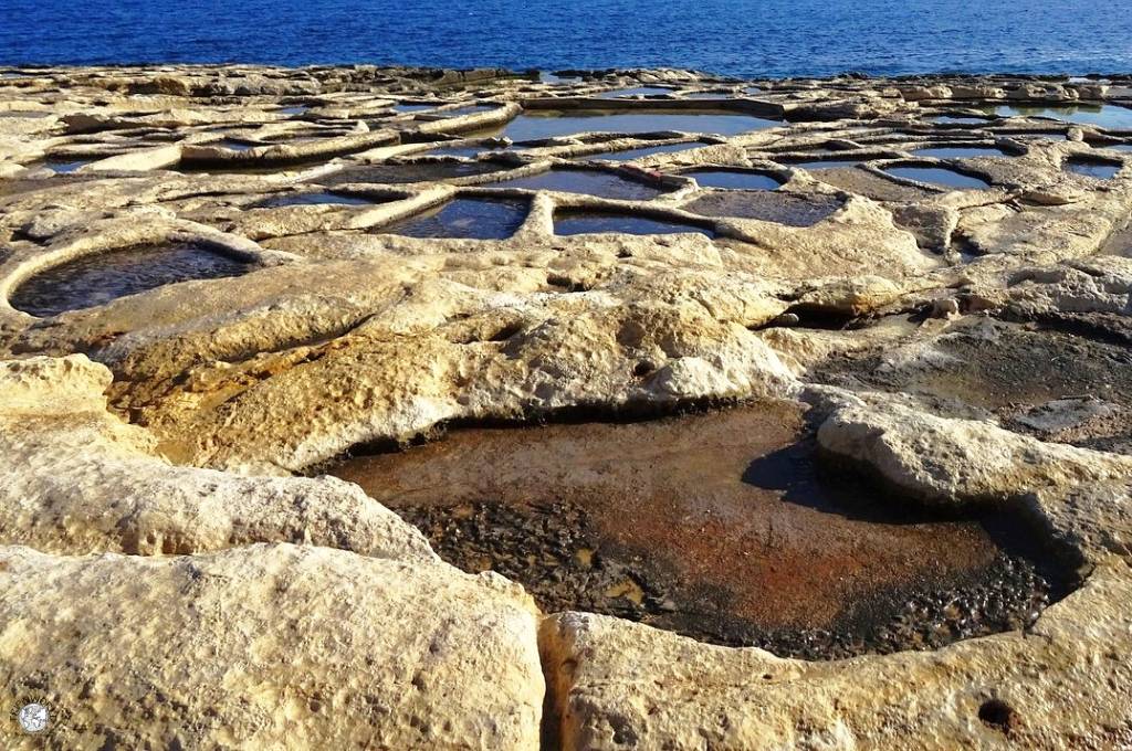 isola di malta saline di zonqor