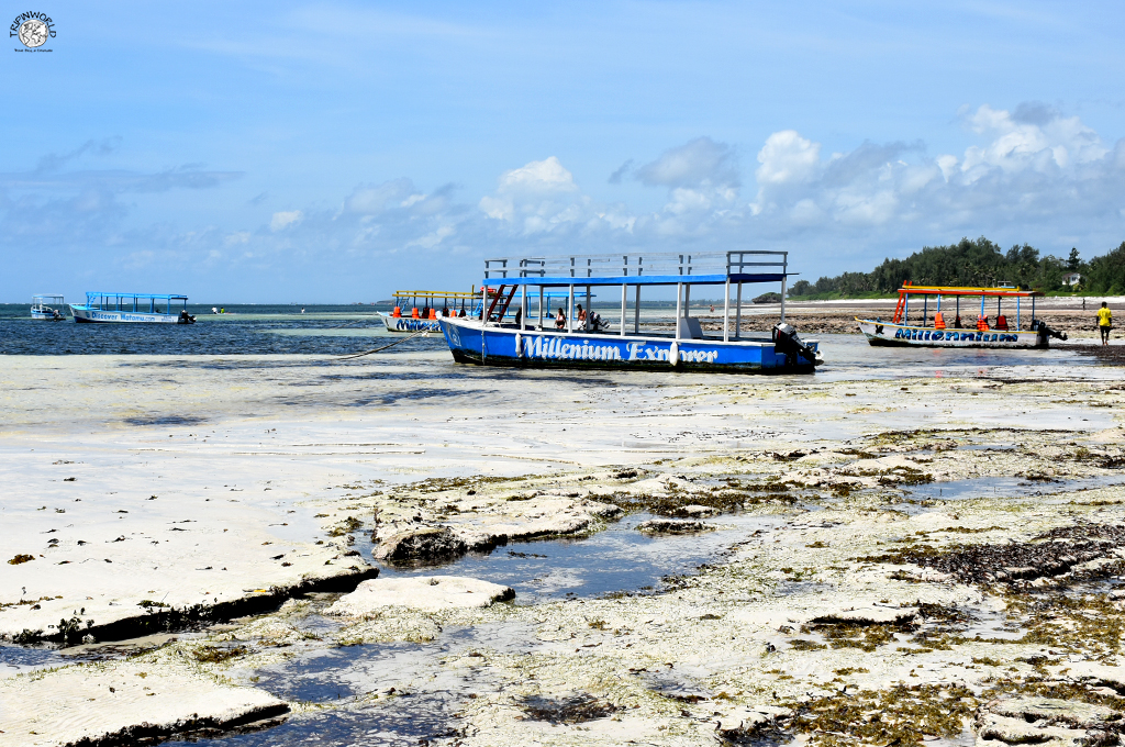 escursioni da watamu barca per safari blu