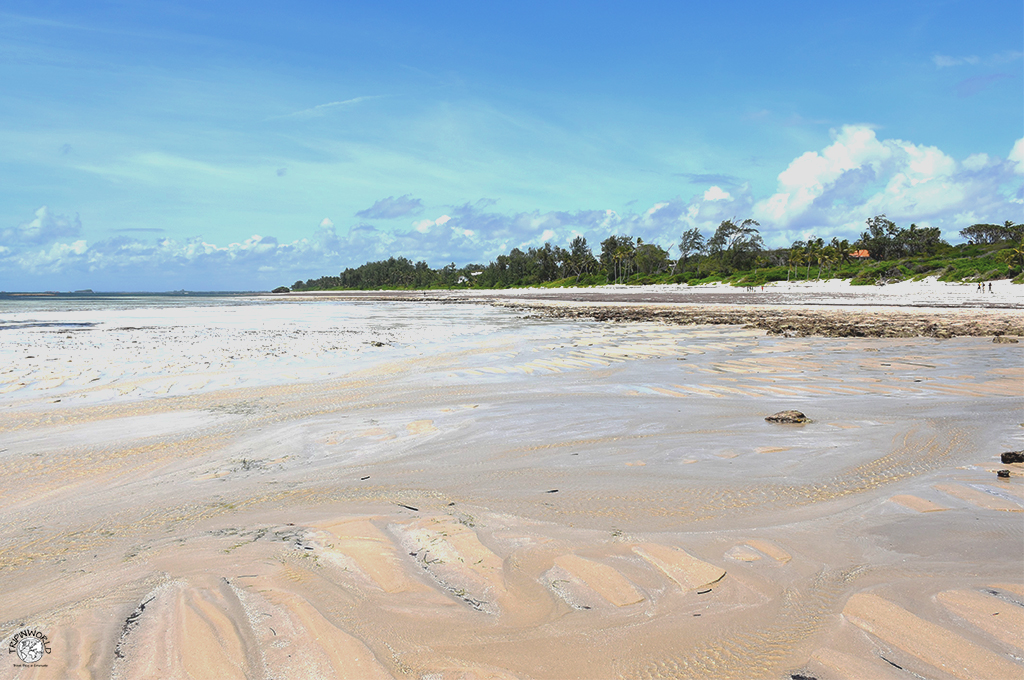 kenya watamu spiaggia blue bay kenya watamu spiaggia blue bay