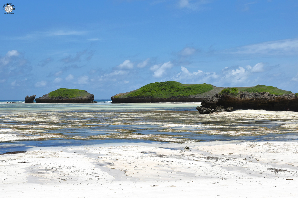 isole con la bassa marea kenya watamu isole con la bassa marea kenya watamu