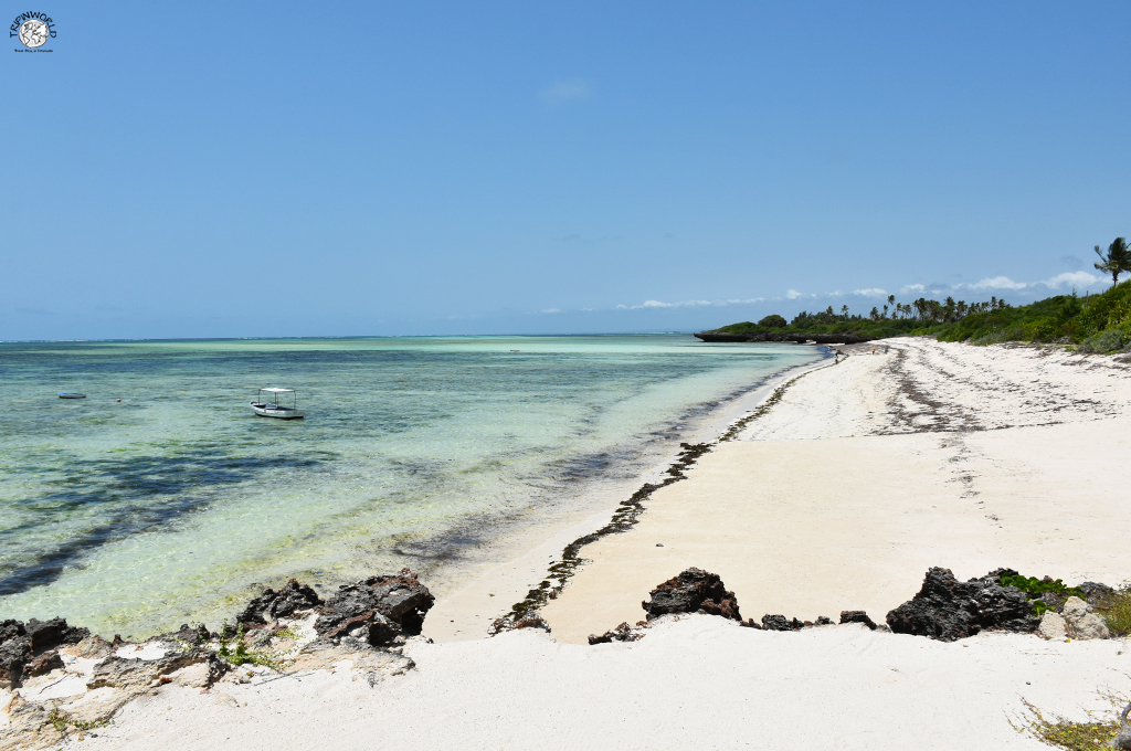 escursioni da watamu la spiaggia di jacaranda