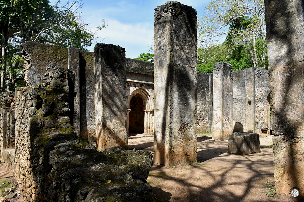 escursioni da watamu mosche nelle rovine di gede