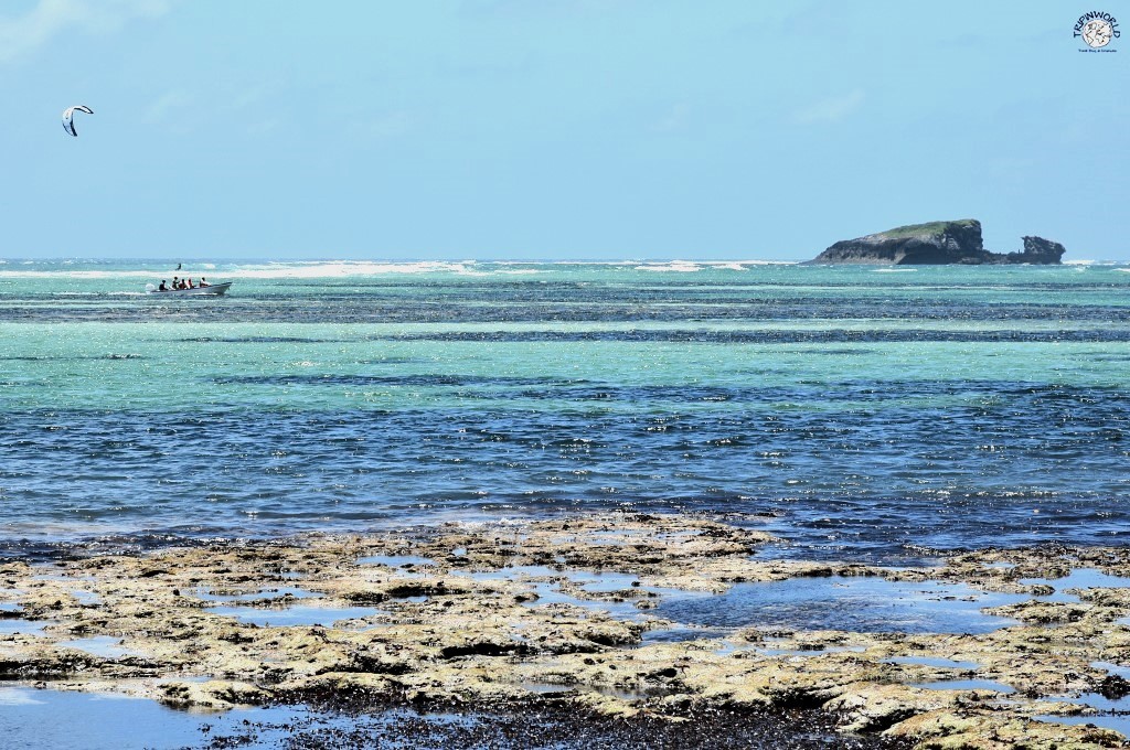 parco marino di watamu a garoda